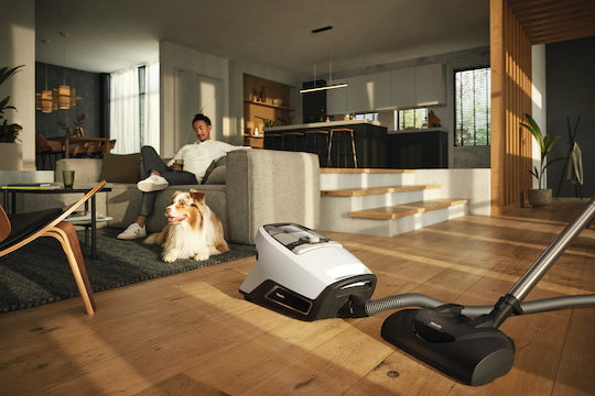 Blizzard CX1 Cat & Dog PowerLine Miele Vacuums