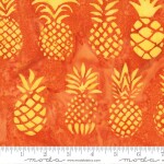 Beachy Batiks Tangy 4362 33 Moda #1