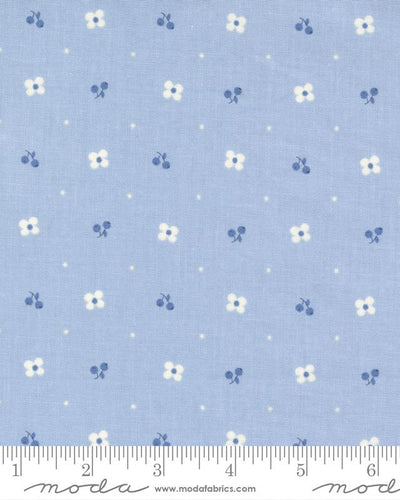 Blueberry Delight Sky 3034 13 Moda #1