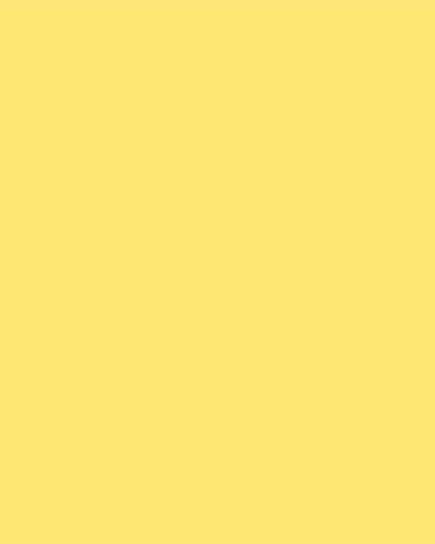 COLORWORKS PREMIUM SOLID LEMON 1056