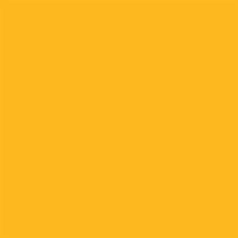 COLORWORKS PREMIUM SOLID DAFFODIL