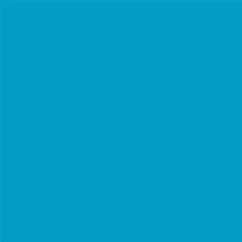 COLORWORKS PREMIUM SOLID TURQUOISE