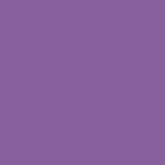 COLORWORKS PREMIUM SOLID VIOLET 142