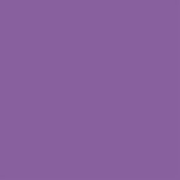 COLORWORKS PREMIUM SOLID VIOLET 142