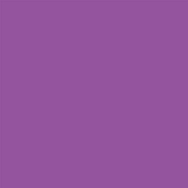 COLORWORKS PREMIUM SOLID AFRICAN VIOLET