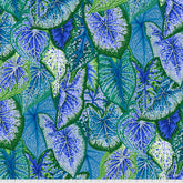 Caladiums - Blue || August 2021